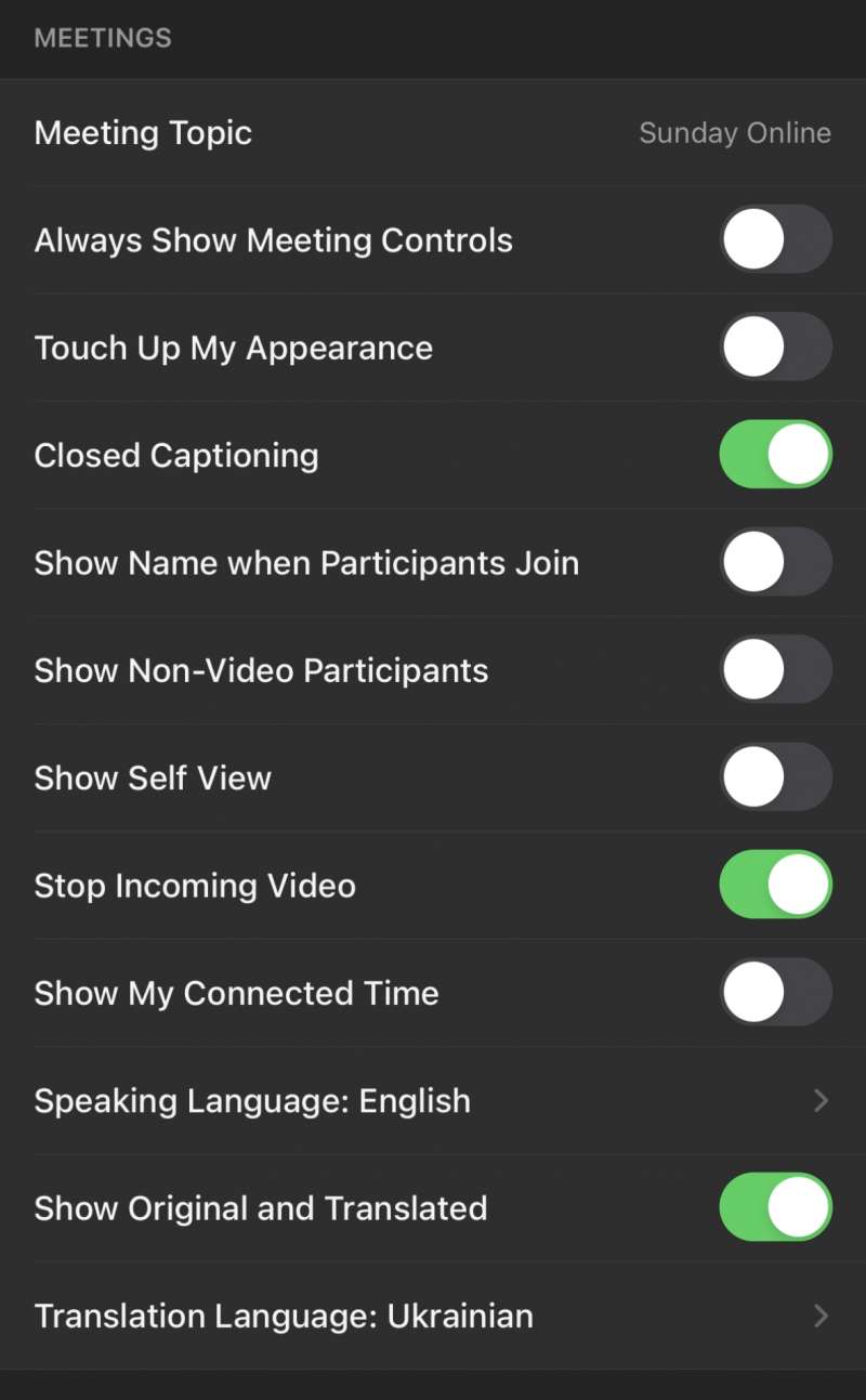 Make sure "Closed Captioning", "Stop Incoming Video" and "Show Original and Translated" are switched on.